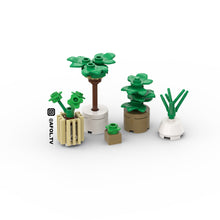 Load image into Gallery viewer, Modern House Plant Instructions