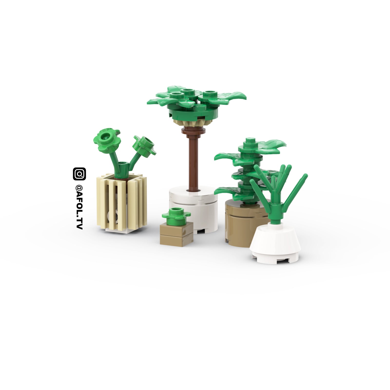 Modern House Plant Instructions